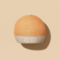 The Wake Light — Sunrise Alarm & Sound Machine